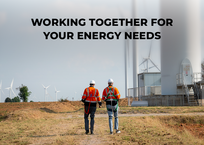 Two men walk on the land in front of a wind energy power plant and discuss the best energy supplier